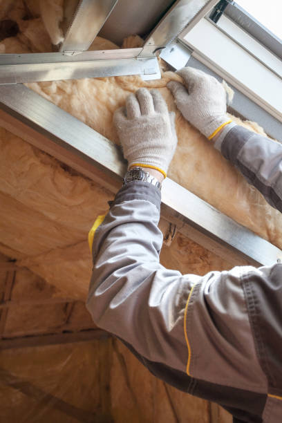 Best Types of Insulation in Hawkinsville, GA