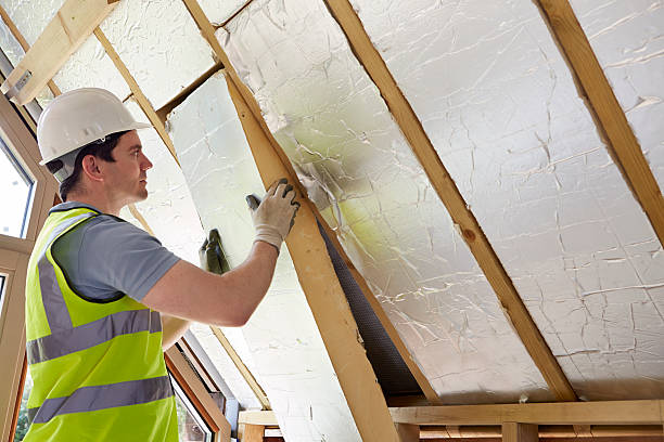 Best Residential Insulation in Hawkinsville, GA