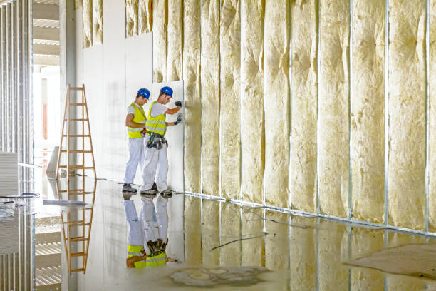 Best Insulation Maintenance and Repair in Hawkinsville, GA